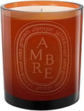 Diptyque Ambre Scented Candle - 10.19 oz Amber Fragrance