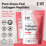 Zint Grass-Fed Hydrolyzed Collagen Peptides Powder (32 oz) - Unflavored, Keto & Paleo Friendly