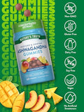 Natures Truth Ashwagandha Gummies (60 Tropical Flavor) Vegan Non-GMO Gluten Free