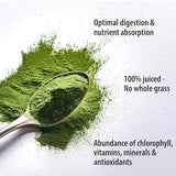 Organic Traditions Wheat Grass Juice Powder - 5.3oz