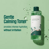 ROUND LAB Pine Calming Cica Toner - 250ml (Soothing & Balancing)