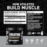 All Black Everything Creatine Monohydrate - 60 Servings, Unflavored Micronized Powder for Muscle Support & Energy