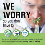 Solaray Elderberry - Immune System Support (100 Caps)