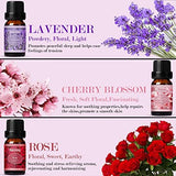 SALKING Essential Oil Set - 6 x 10ml Premium Aromatherapy Oils