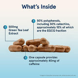 Jarrow Formulas Green Tea Extract 500mg for Antioxidant Support, 100 Veggie Caps