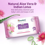 Himalaya Gentle Cleansing Baby Wipes - Alcohol & Paraben Free, 224 Wipes, Aloe Vera & Lotus
