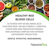 NaturesPlus, Hema-Plex, Iron with Essential Nutrients for Healthy Red Blood Cells , 60 Slow-Release Tablets