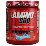 iSatori Amino-Gro Blue Razz Snow Cone 30 Servings - BCAA Amino Acid Supplement