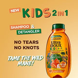 Garnier Ultra Doux Kids 2-in-1 Shampoo & Detangler (Lion King) - 400ml