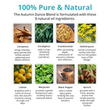 mEssentials Wild Autumn Dance 100% Pure Essential Oil Synergy Blend - 10ml