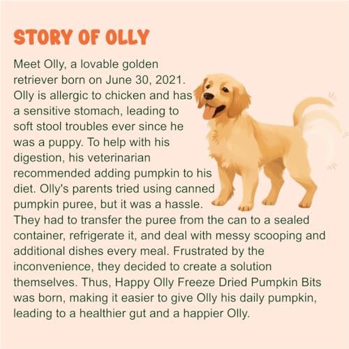 Happy Olly Natural Pumpkin Pieces - Wholesome Pet Treats for Dogs