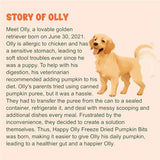 Happy Olly Natural Pumpkin Pieces - Wholesome Pet Treats for Dogs
