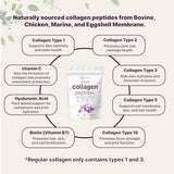 Micro Ingredients Multi-Collagen Protein Powder: Type I, II, III, V, X - 2 lbs