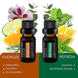 Pure Daily Care Aromatherapy Essential Oil Synergy Blend Set - 10 x 10 ml Therapeutic Grade Blends