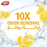 Lifebuoy Lemon Fresh Antibacterial Hand Wash (Double Pack)