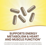 Nature's Way Alive Max6 Potency Adult Complete Multivitamin, Vitamins A,C, E & B-Vitamins Including Methyl B12 & Folate, Supports Energy Metabolism*, No Added Iron, 90 Capsules (Packaging May Vary)