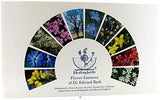 FLOWER ESSENCE SERVICES Healing Herbs Practitioner Kit - 40 Count