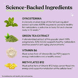 Lemme Burn - Metabolism, Belly Fat Burning + AMPK Activating Supplement for Men & Women w/Clinically Studied Actiponin Gynostemma, Green Tea Extract, Vitamins B6 & B12 - Gluten Free, 60 Count