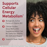 Jarrow Formulas Methyl B-12 Vitamin B12 500mcg Cherry Lozenges 100 Pcs