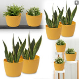 3-Pack Matte Mustard Plastic Flower Pots (16cm Diameter) - Large Decorative Herb Planters