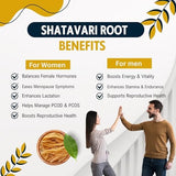 Organic Shatavari Root Powder - Boost Vitality & Wellness