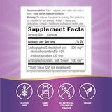 Nature's Way Premium Extract Andrographis, Immune Support*, 300 mg Andrographis Extract per serving, 60 Capsules