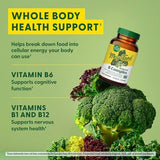 MegaFood Balanced B Complex - 30 Tablets - Whole Food B Vitamins for Energy & Metabolism