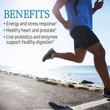 Garden of Life Vitamin Code Raw One Men's Multivitamin - Daily Support (75 Vegetarian Capsules)