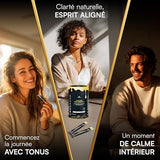 Shilajit Himalayan Resin with Organic Honey & Saffron - 30 Sticks (8g) Sustainable Energy & Vitality Boost with Fulvic Acid & 85+ Minerals