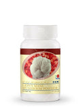 Premium Lion's Mane Mushroom Supplement 8,400mg - Cognitive Support & Healthy Aging