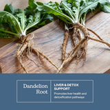 Eclectic Institute Dandelion Root Capsules 90 Count - Liver & Digestive Support