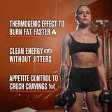 Jacked Factory Burn-XT Clinically Studied Fat Burner & Weight Loss Supplement - Appetite Suppressant & Energy Booster - with Acetyl L-Carnitine, Green Tea Extract and More - 60 Natural Diet Pills