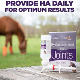 Hyalogic Hyaluronic Acid Equine Joint Supplement - Oral Syringe