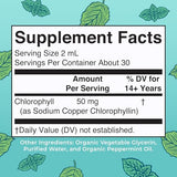 MaryRuth Organics Chlorophyll Drops - Peppermint Flavor
