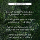 Weleda Skin Food Face Cream - 40ml - Dry Skin Moisturizer