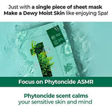numbuzin No.1 Dewy Glow Spa Sheet Mask 4ea - At-Home Relaxing Facial Treatment