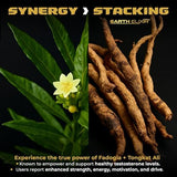 Fadogia Agrestis 600mg and Tongkat Ali 500mg Supplements (180 Capsules) - Made in USA - 3 Month Supply – 3rd Party Tested - Long Jack - Tongkat Ali Fadogia Agrestis for Men and Women