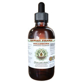 Hawaii Pharm Collinsonia Liquid Extract - Alcohol-Free Dried Root Glycerite 2 oz