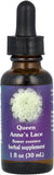 Flower Essence Services Queen Anne's Lace Herbal Supplement - 1 oz Dropper