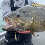 Great Lakes Finesse Drop Minnow Soft Plastic Lure - Highly Realistic Fishing Bait