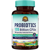 Vitalitown Probiotics 120 Billion CFU - 36 Strains with Prebiotics & Enzymes