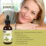 Life-flo Pure Olive Squalane Oil: Nourishing Moisturizer for Face & Body