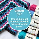 "Caron Simply Soft Party Silver Sparkle Yarn - 3 Pack (3oz Each) - Worsted Weight"