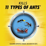 Combat Max 2-in-1 Ant Killer Bait Stations | Kills at Source, 4 Count