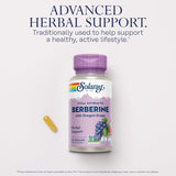 Solaray Berberine Root Extract - 60 Vegan Capsules