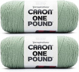 "Caron One Pound Succulent Yarn (2-Pack) - Bulky Acrylic Yarn for Knitting & Crochet"