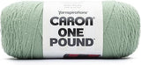"Caron One Pound Succulent Yarn (2-Pack) - Bulky Acrylic Yarn for Knitting & Crochet"