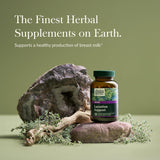 Gaia Herbs SystemSupport دعم الرضاعة - تدفق صحي للحليب، ٦٠ كبسولة