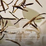 Rituals The Ritual of Karma Shimmering Body Oil - Luxurious Unisex Glow (3.3 oz)