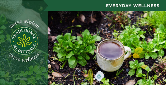 Refresh Your Senses: Enjoy the Invigorating Taste of Traditional Medicinals Organic Spearmint Tea